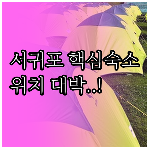 이마트와 터미널 가까운 서귀포 월드컵..