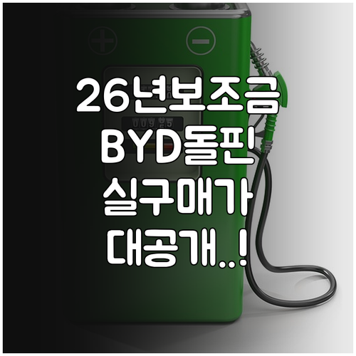 2026년 BYD 돌핀 보조금 혜택 ..