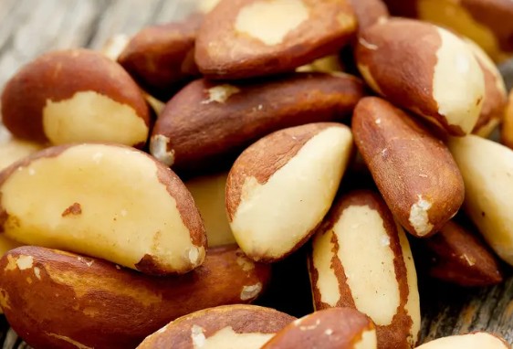 브라질너트(브라질넛) 효능 및 부작용, 하루 섭취량, 셀레늄함량, 먹는방법, 보관방법