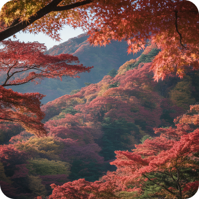 2025 지리산 단풍명소 & 단풍절정시기 이미지