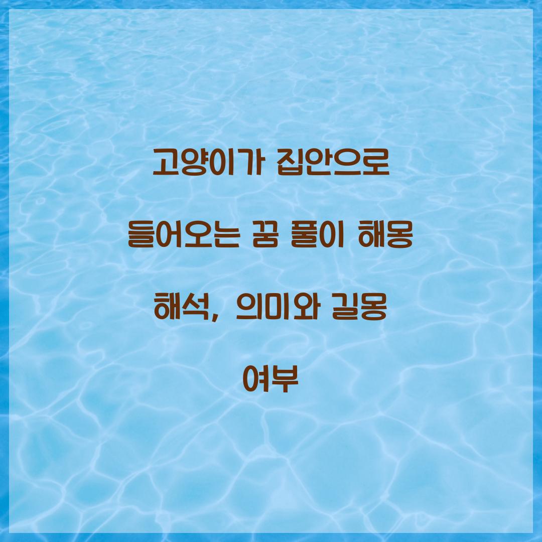 고양이가 집안으로 들어오는 꿈 풀이 해몽 해석