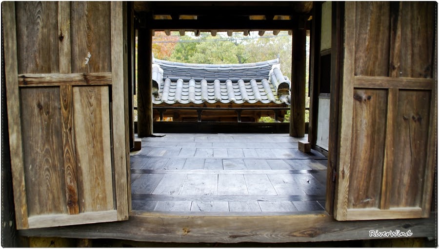 고가(古家)의 지붕과 담쟁이