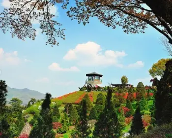 베어트리파크 철쭉축제 봄과 철쭉_12