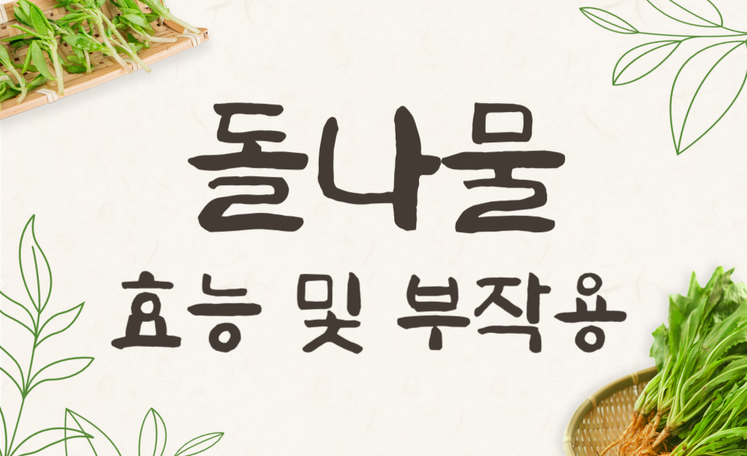돌나물 효능과 부작용, 먹는 법까지 한눈에 정리!