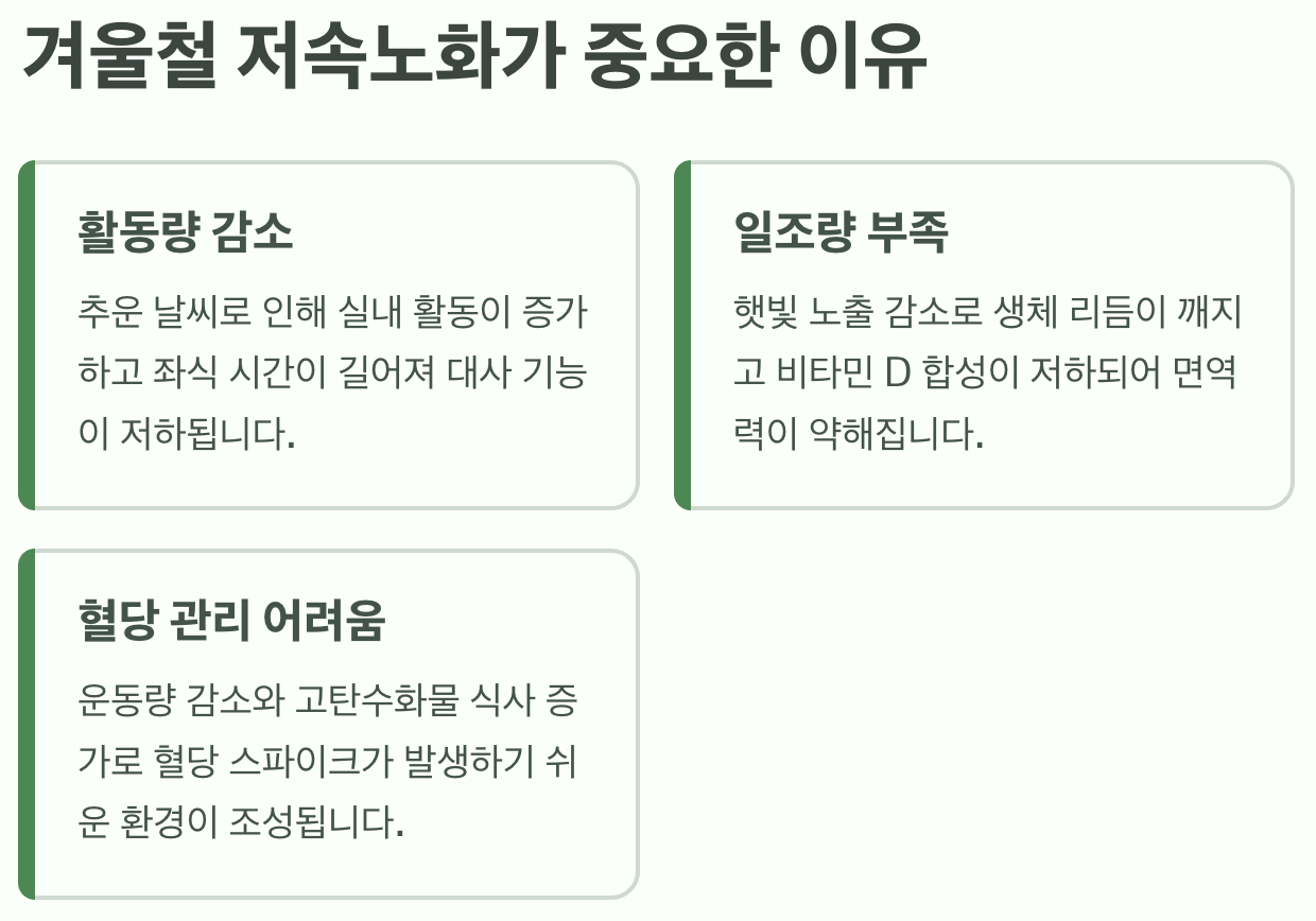 지속노화-중요한-이유-내용