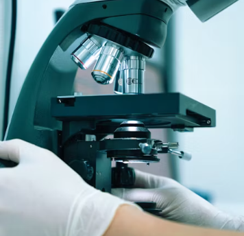 빈혈 증상 원인 치료 방법