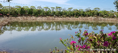 제주스누피가든