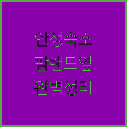 안성 여행 출장 숙소 고르기 팜랜드 ..