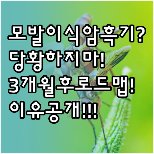 모발이식 암흑기 3개월 차 당황하지 ..