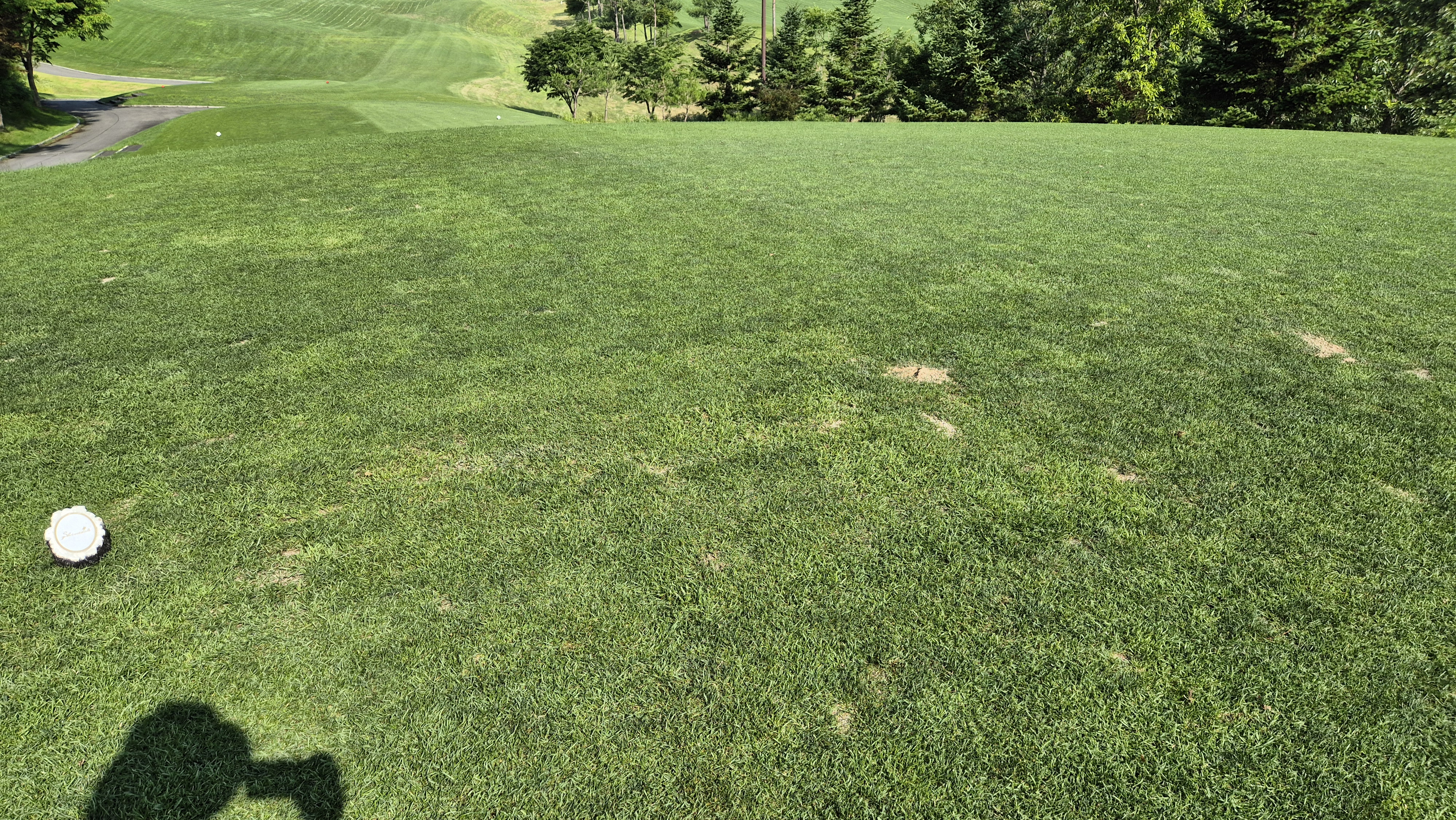 샤인데일cc 라운드 후기