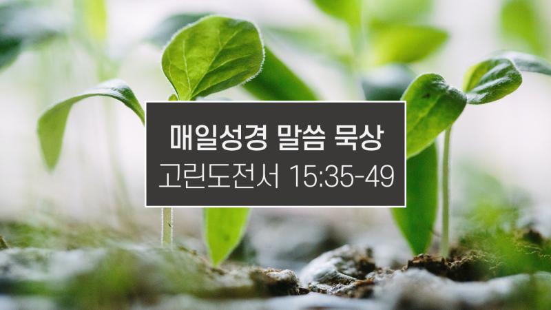 썸네일-푸르게-올라온-새싹