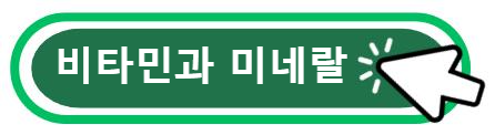 비타민과 미네랄 알아보기