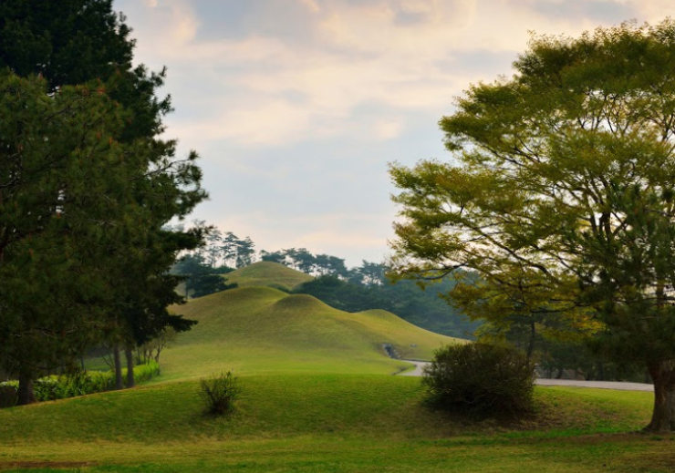 공주 - 제민천 따라 즐기는 역사 속 밤문화 / 공주투어