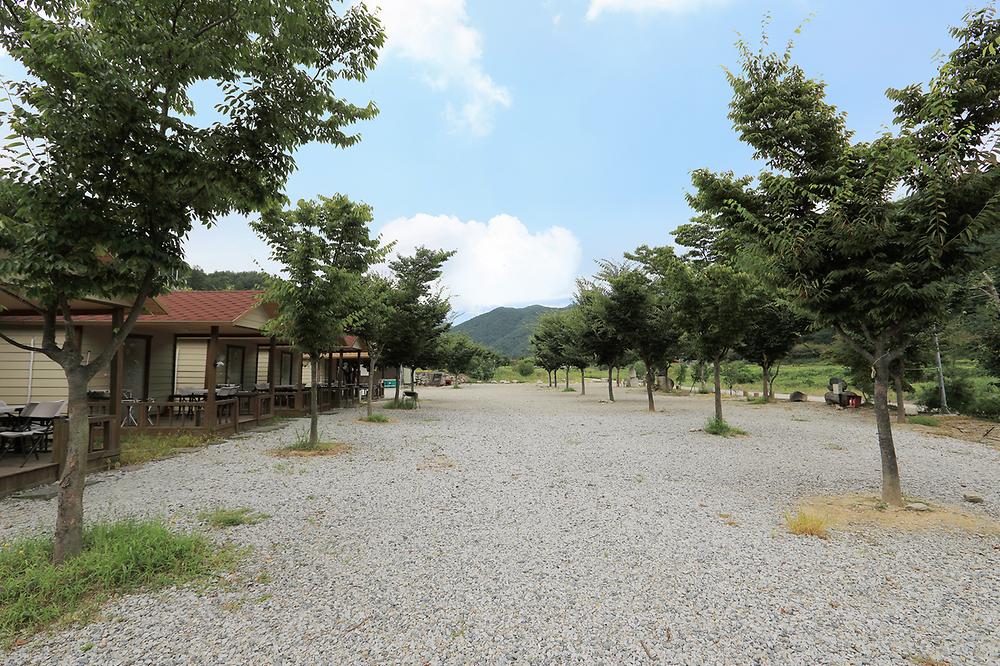 경북 성주자연오토캠핑장 소개