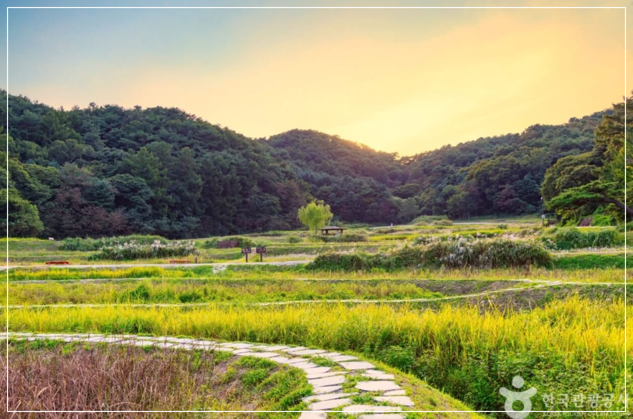 청주 가볼만한곳 베스트10 상당산성