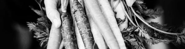 당근 보관법: 냉동 보관