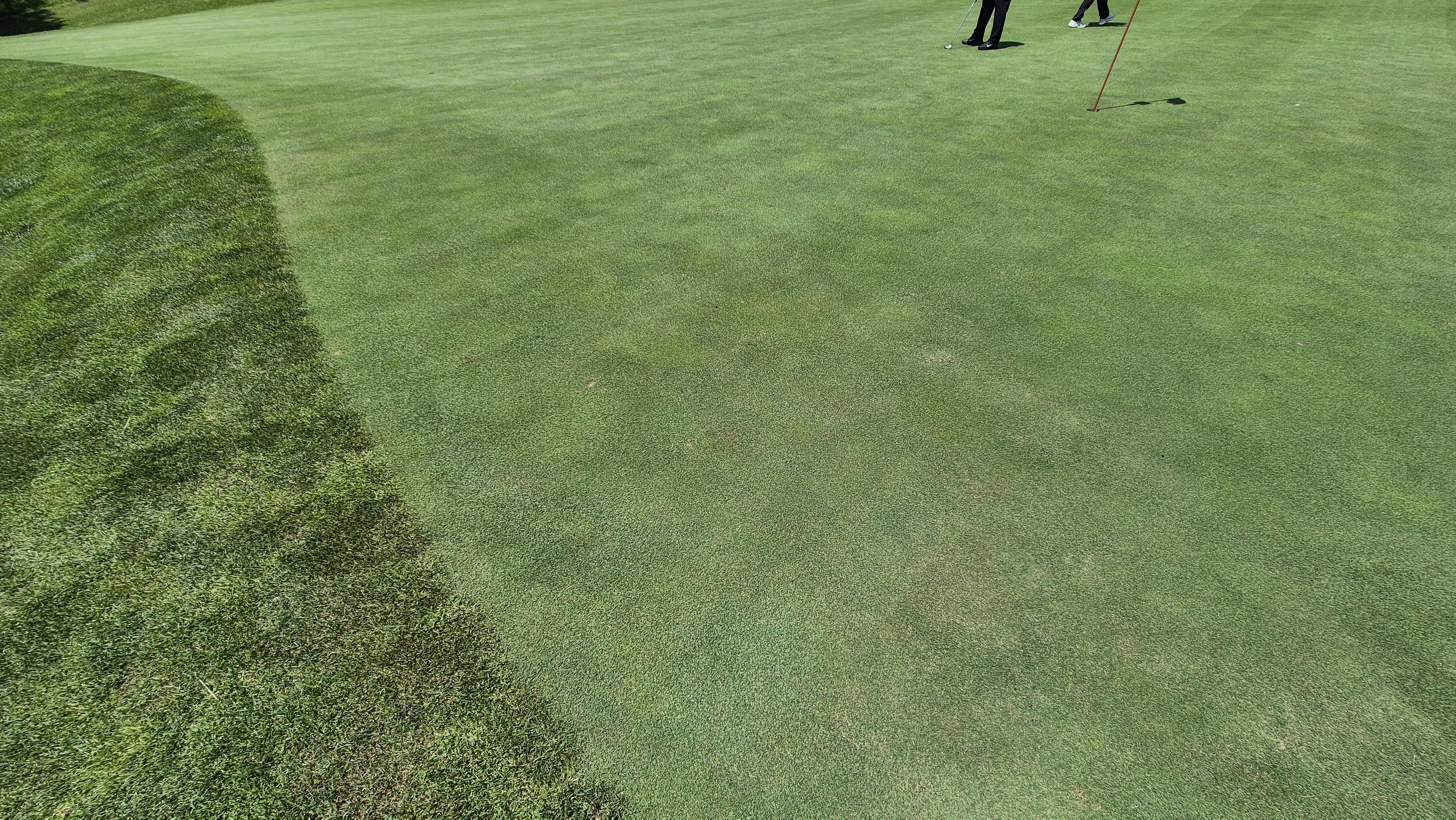 샤인데일cc 라운드 후기