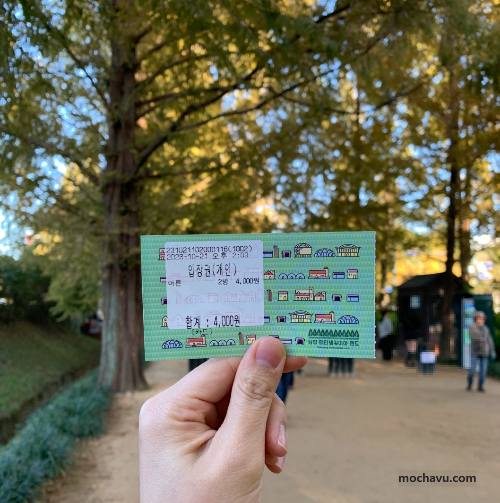담양 메타세쿼이아 가로수길 - 입장권