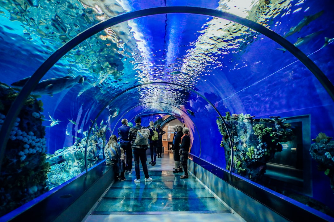 Aquarium