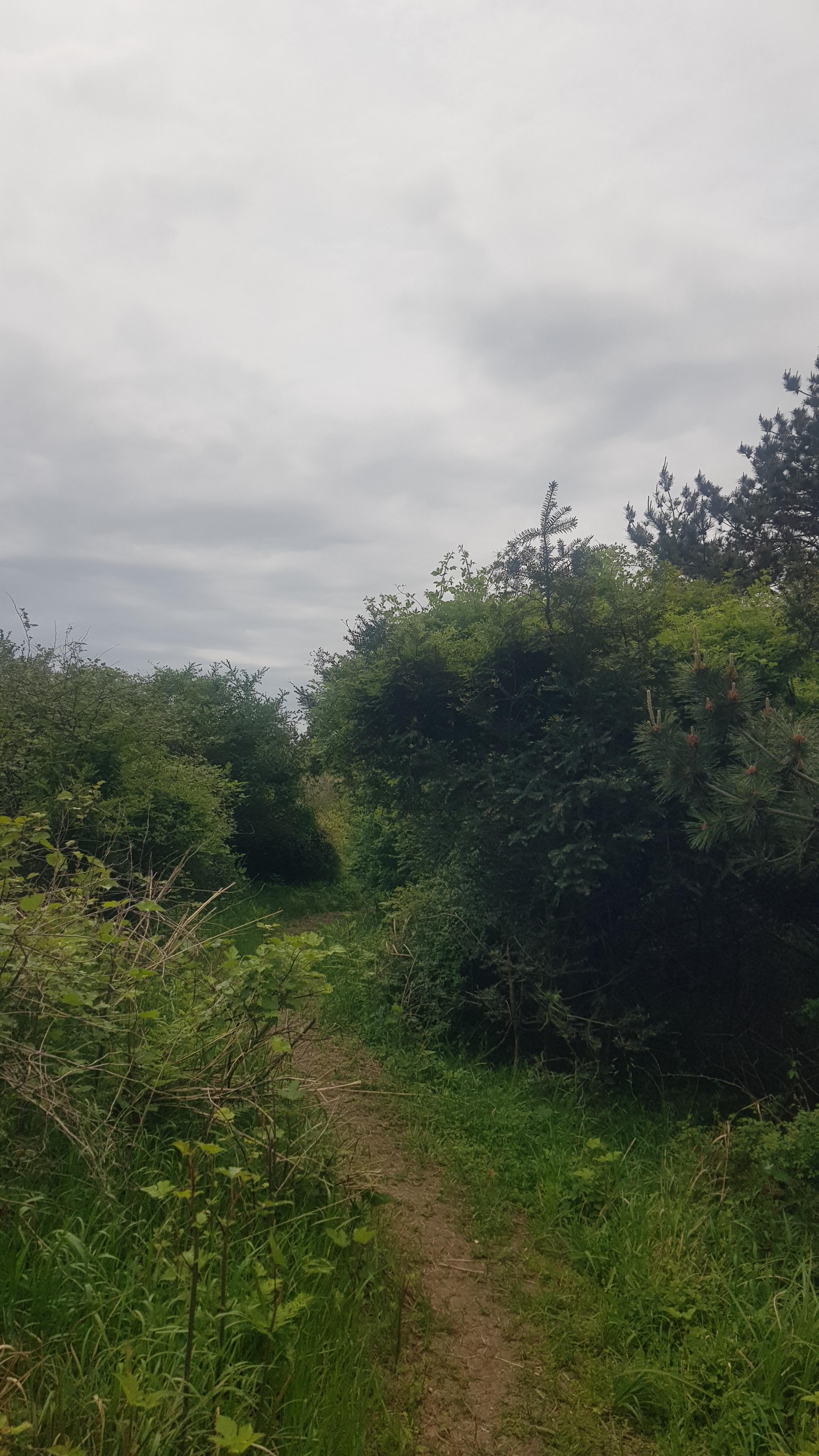 제주도 거슨새미오름 – 숨겨진 자연의 보물!