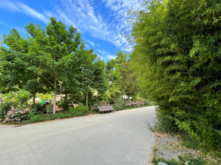 보르도 식물원 숲길