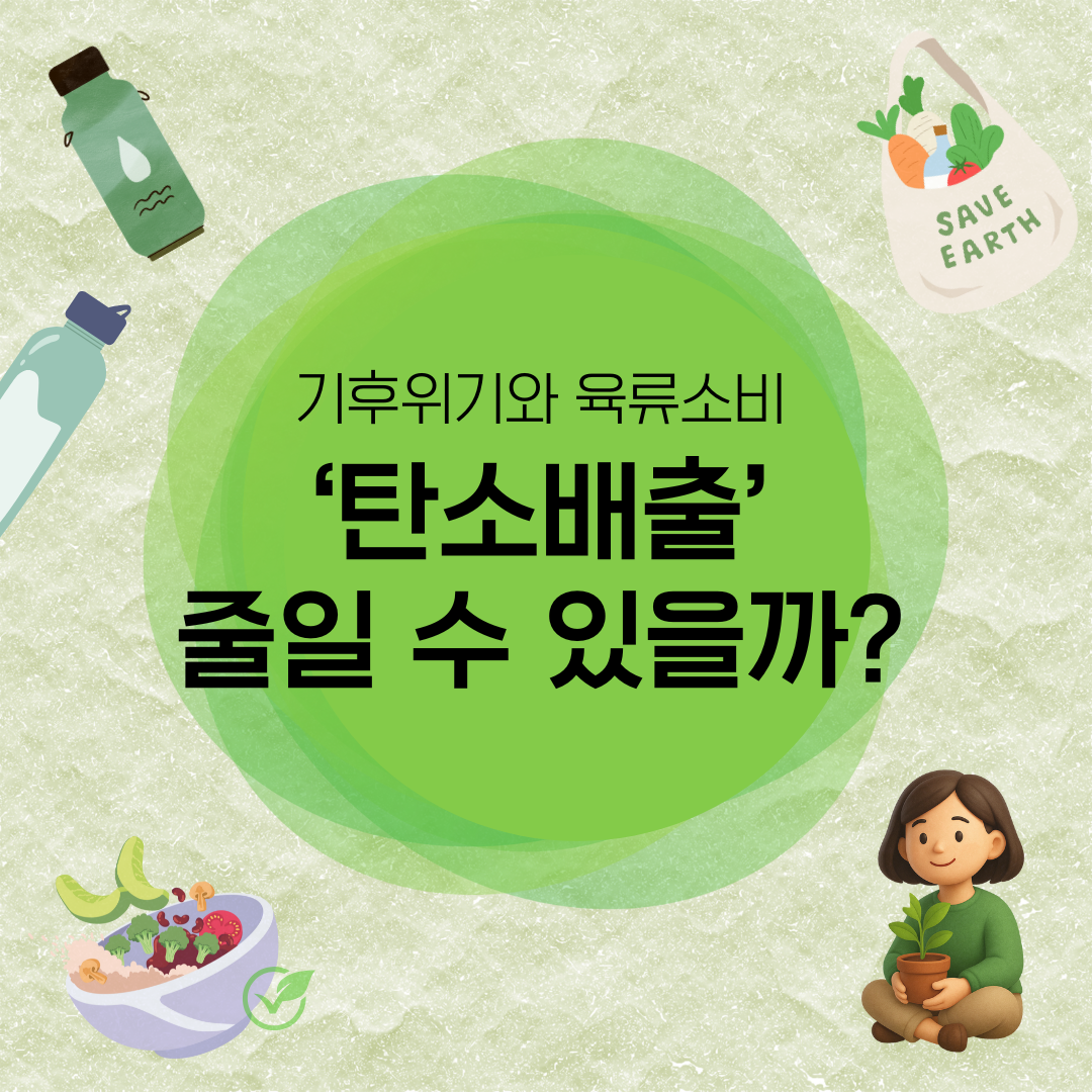 기후위기와 육류 소비의 관계: 탄소배출 얼마나 줄일 수 있을까?