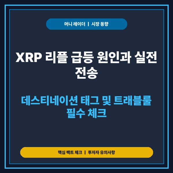 XRP 리플 급등 원인과 실전 전송 가이드: 데스티네이션 태그 및 트래블
