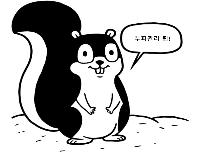 직장인 두피 건강법을 알려주는 다람쥐