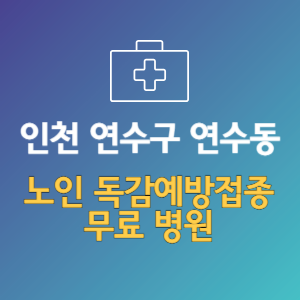 인천 연수구 연수동 노인 독감예방접종 무료 병원 (인플루엔자 무료 접종 대상 날짜)