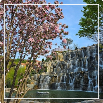 용인 자작나무숲 봄꽃축제 이미지 출처: 용인 자작나무숲