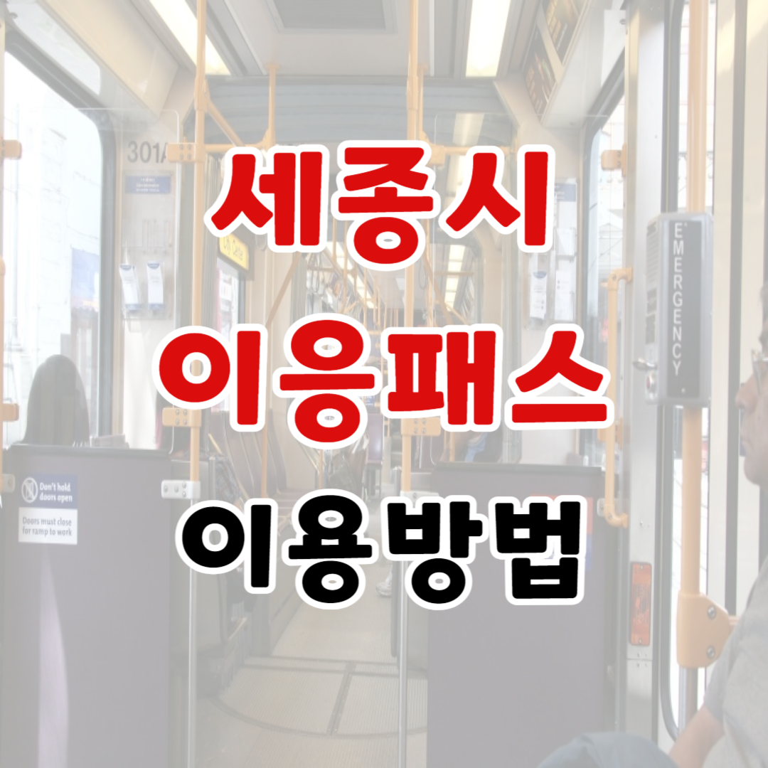 세종 이응패스 이용방법