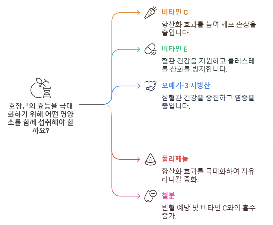 호장근과 함께 섭취하면 시너지 효과를 내는 영양소