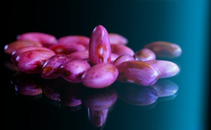 자주빛을-보이는-팥