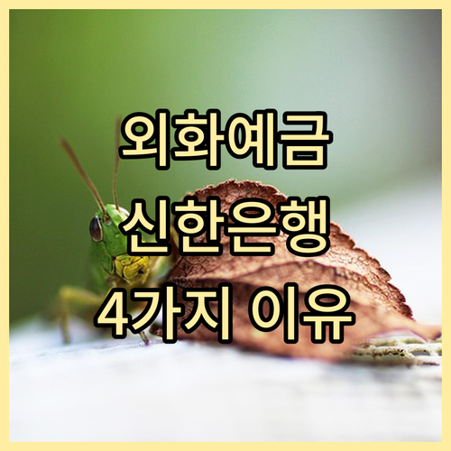 외화 예금, 신한은행 선택해야 하는 