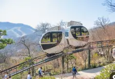 화담숲 모노레일 도보 코스 완벽 가이드