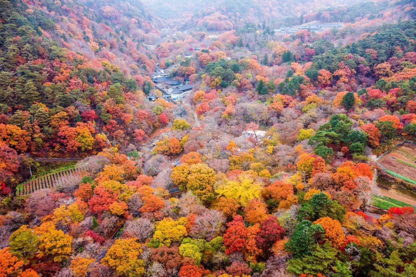 가야산의-가을