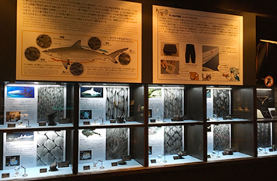 추라우미 수족관