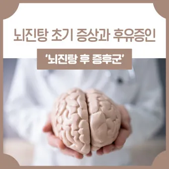 뇌진탕 초기 증상 후유증 으로_5