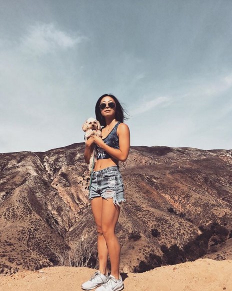 다니엘헤니결혼