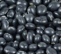 검은콩 효능