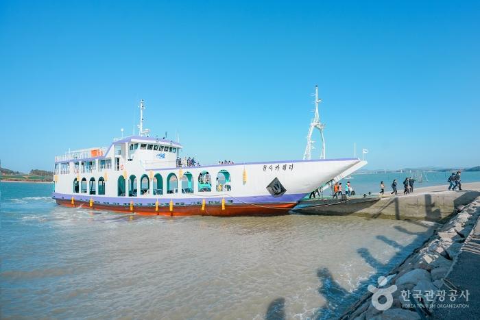 2024 섬 수선화 축제 기본 일정과 소개