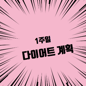 1주일 다이어트 계획