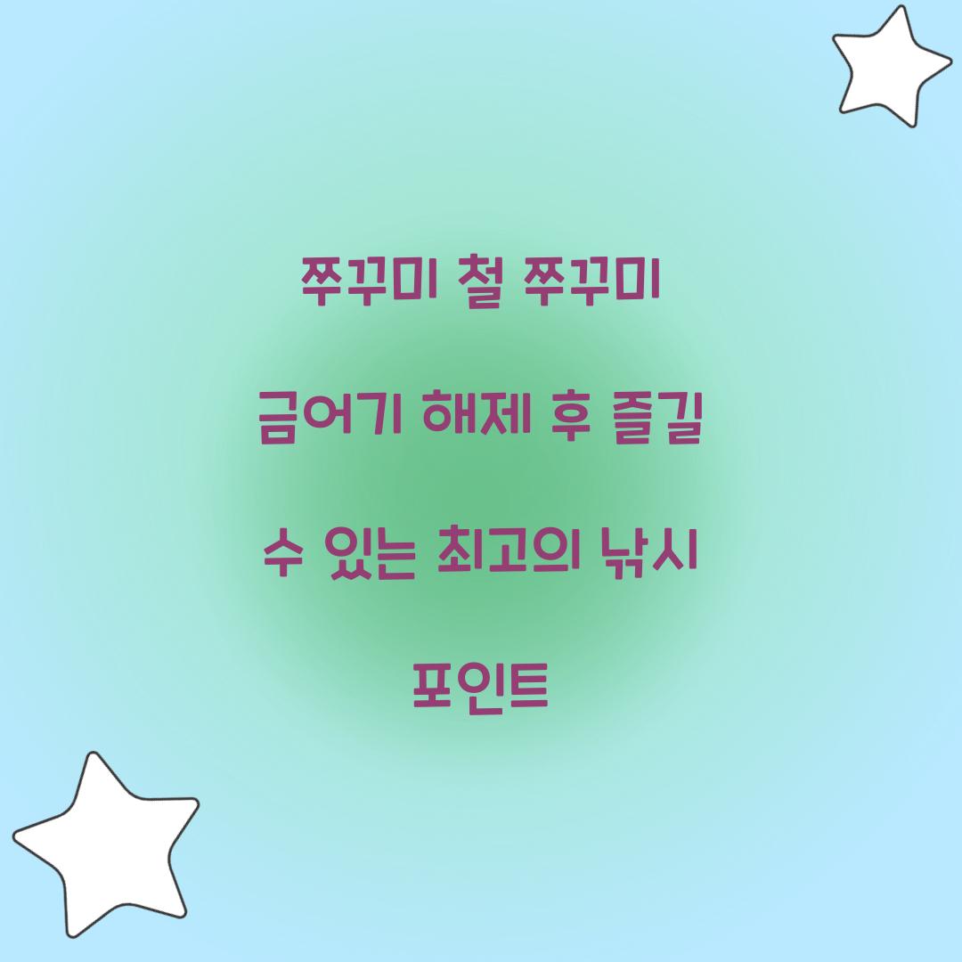 쭈꾸미 철 쭈꾸미 금어기