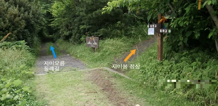 지미봉 둘레길 올레길 갈림길