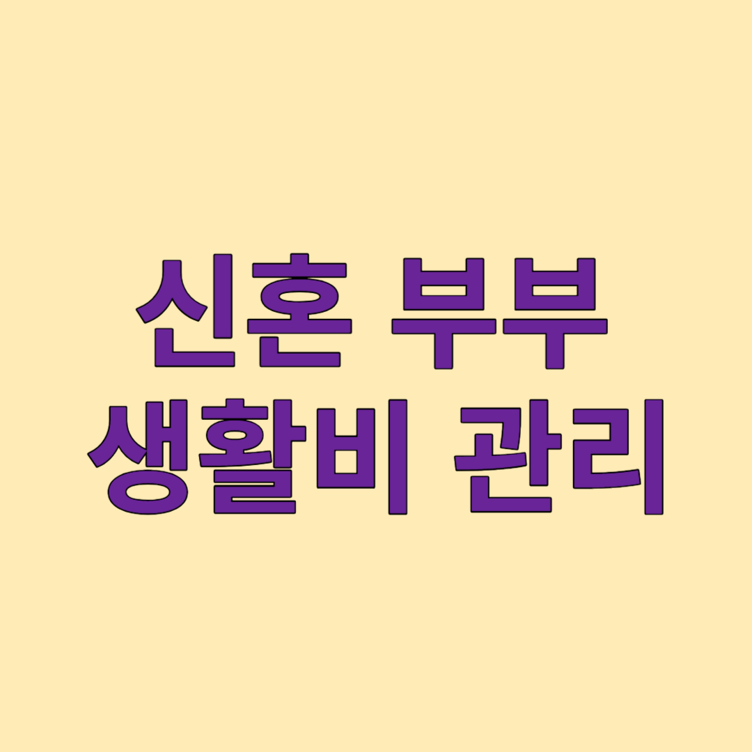 신혼부부 생활비 관리