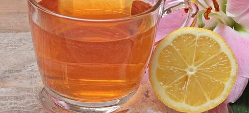 반려동물 자격증 창업 취업