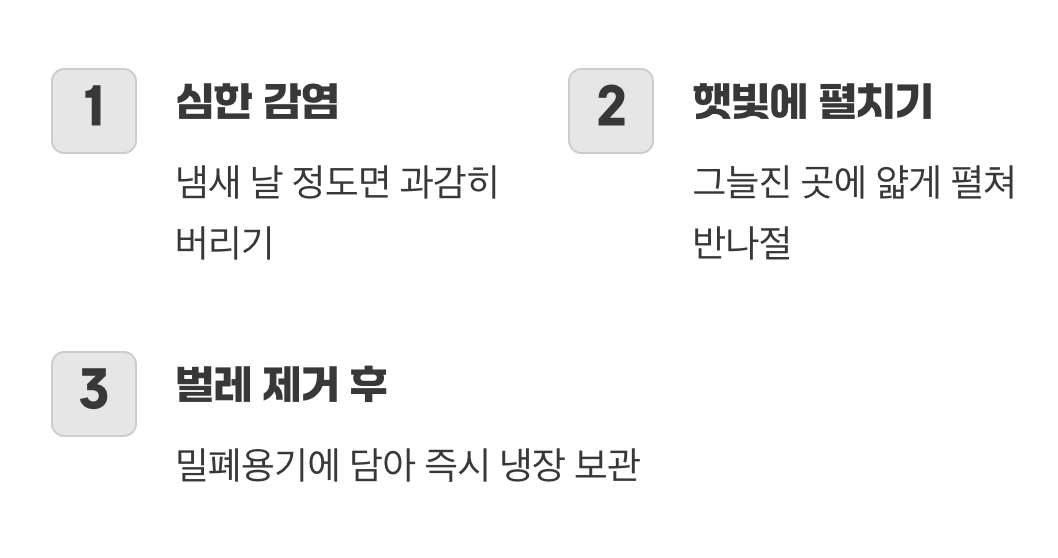 이미 생긴 벌레, 어떻게 할까?