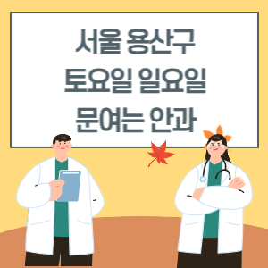 서울 용산구 토요일 일요일 안과 진료 병원 리스트