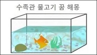 수족관 물고기 꿈 해몽