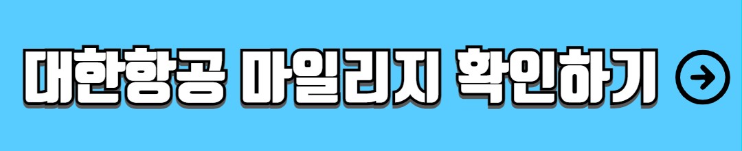 대한항공 마일리지 조회 사용방법 공제표